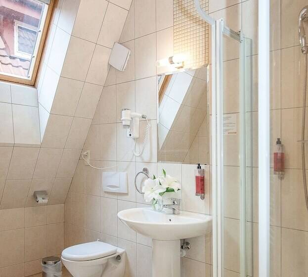 スタンダードルーム, Willa Biala Lilia Old Town