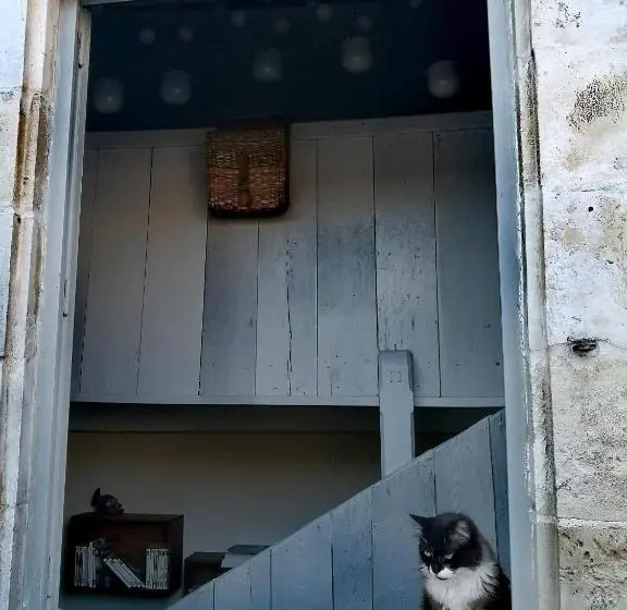 デラックススイート, La Belle Amarre Bed And Breakfast Maison D Hôtes