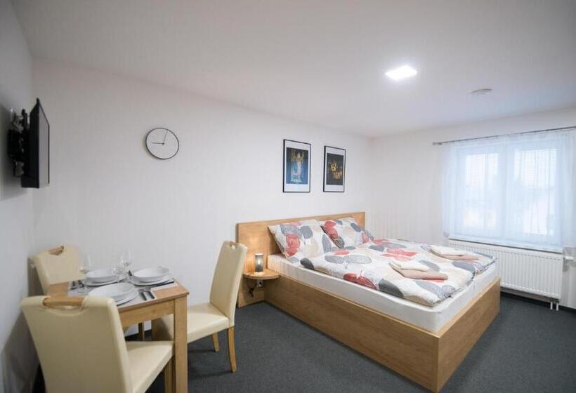 Студия Стандарт, Villa Michaela