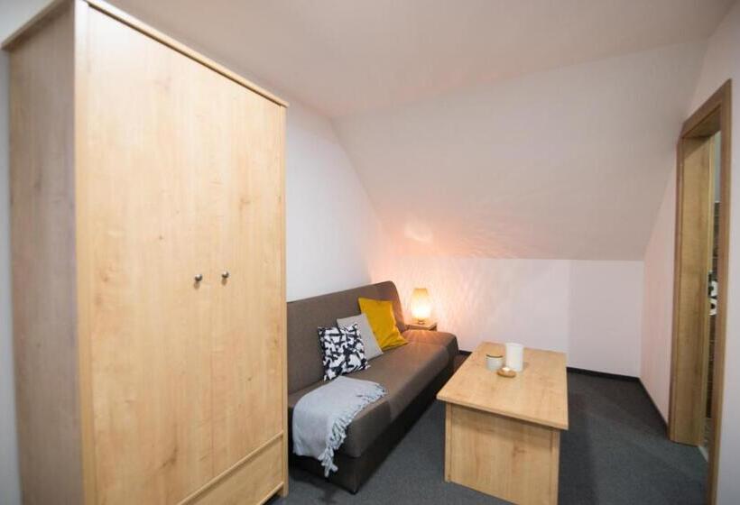 Студия Стандарт, Villa Michaela