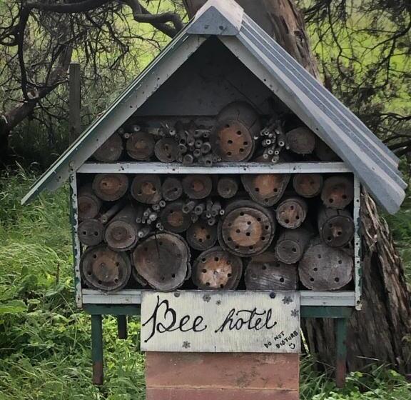 חדר סטנדרט, Bethany Cottages