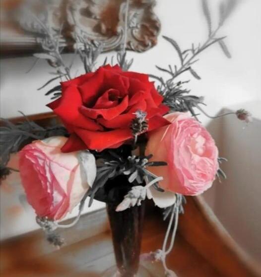 Апартаменты 1 Спальня Вид на Сад, Wyndover Mountain Retreat