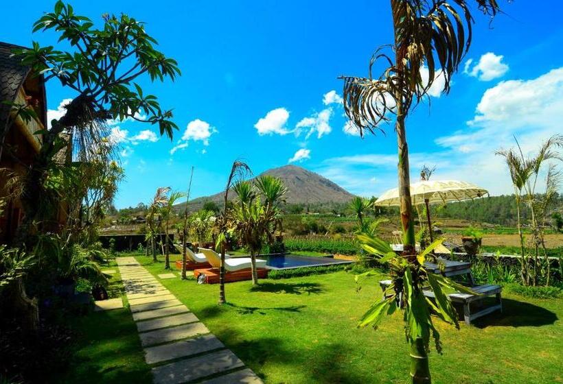 豪华房间, Batur Panorama