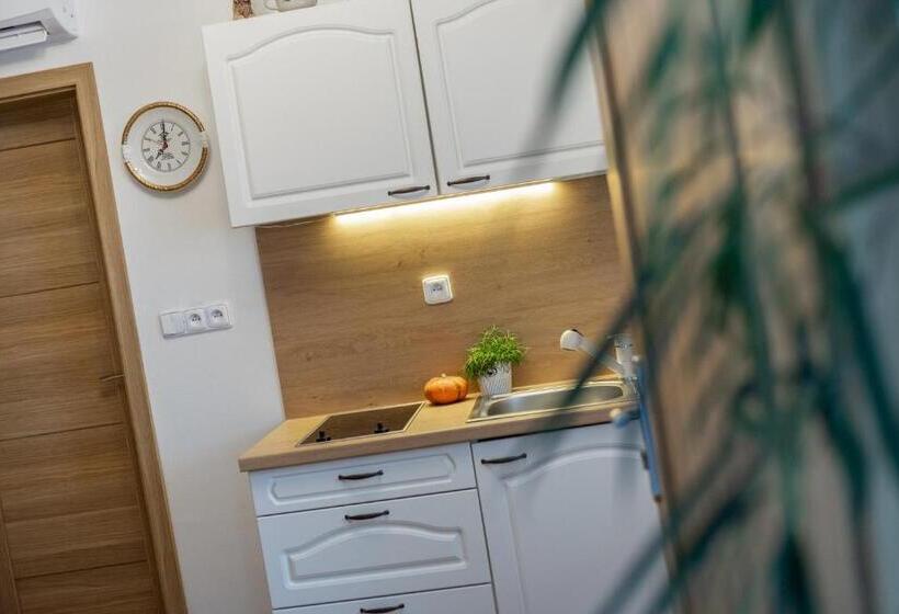 스탠다드 스튜디오, Frajárka