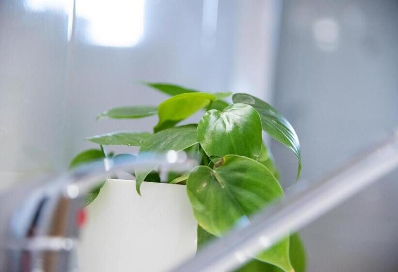 스탠다드 스튜디오, Frajárka