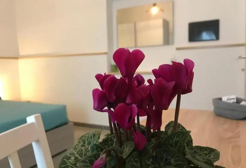 スーペリアールーム, 40° Parallelo Guest House
