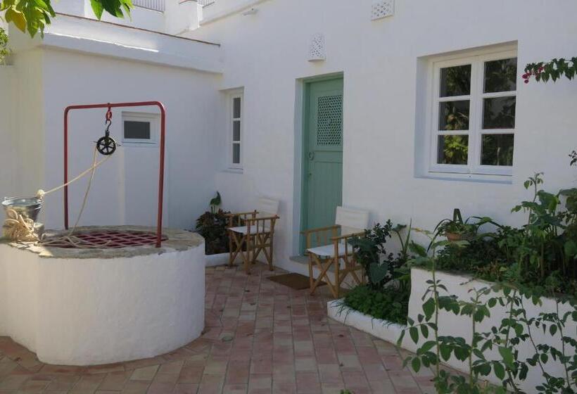 Студио Стандарт Вид на Сад, Azul Sul