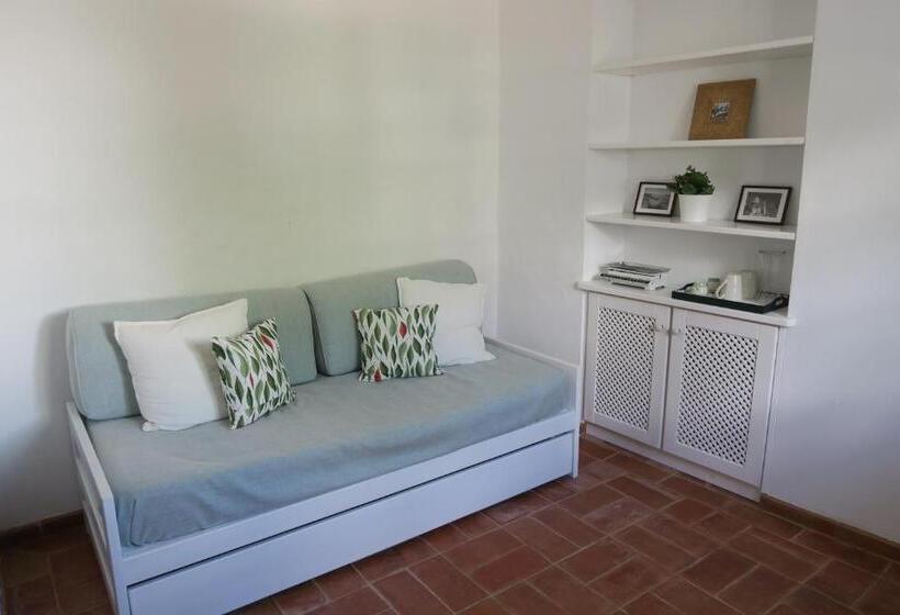 Студио Стандарт Вид на Сад, Azul Sul