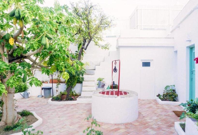 Студио Стандарт Вид на Сад, Azul Sul