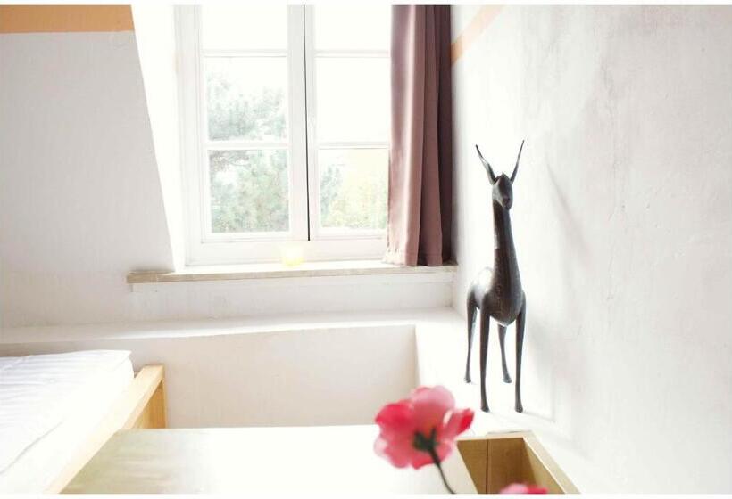 스탠다드 싱글 룸 공동욕실, Sülfmeister Haus