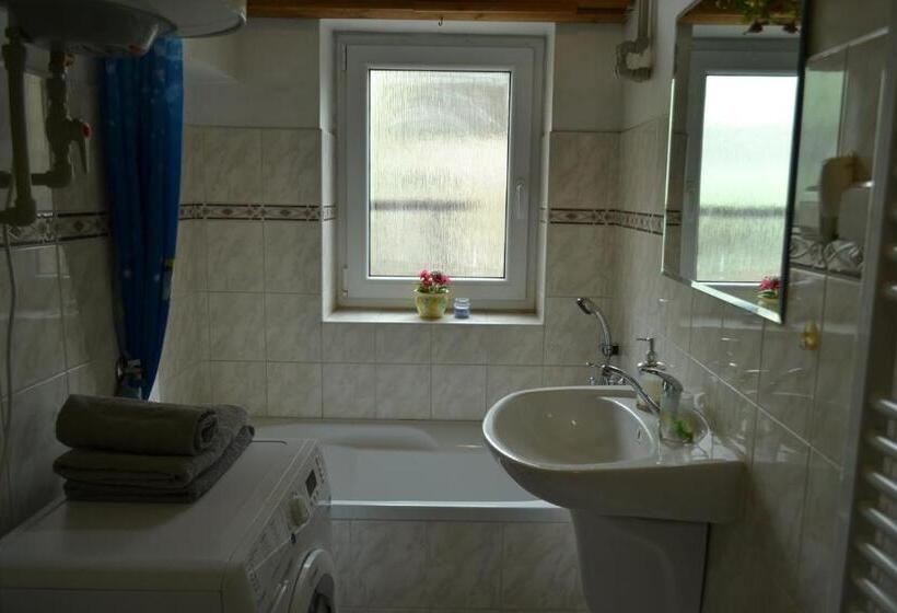 Апартаменты Superior 1 Спальня, Apartments  Vintag  Teplice