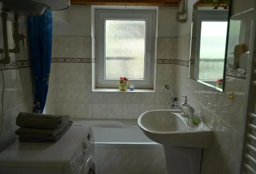 آپارتمان سوپریور 1 خوابه, Apartments  Vintag  Teplice