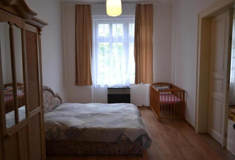 １ベッドルームアパートメント, Apartments  Vintag  Teplice