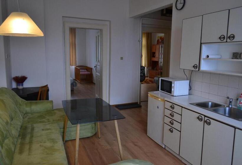１ベッドルームアパートメント, Apartments  Vintag  Teplice