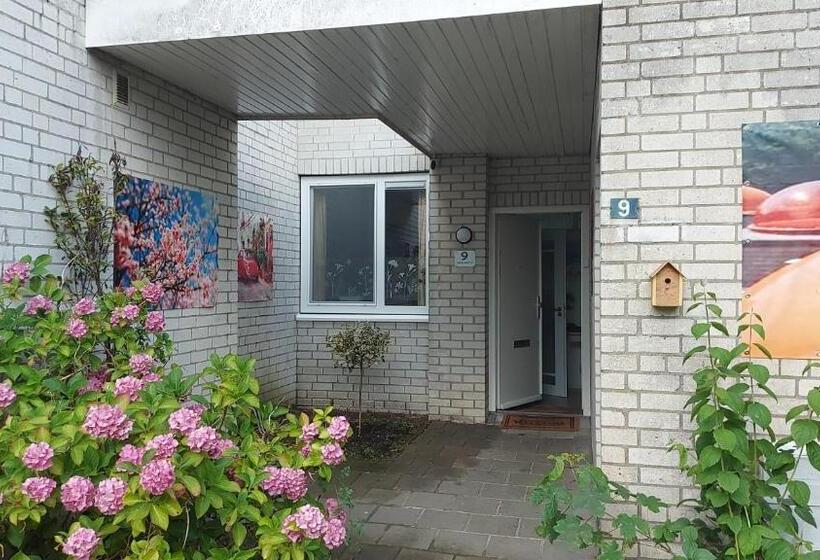 Suite with Terrace, Bed & Breakfast De Koepeltjes