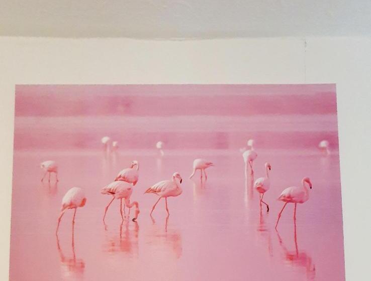 חדר סטנדרט לשלושה, Merciful King Room, In Zone 2 3