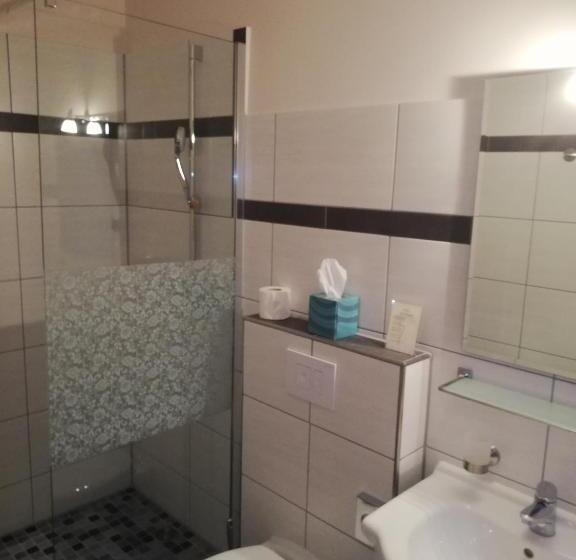 Номер Стандарт Индивидуальный с Балконом, Domizil & Dümmer