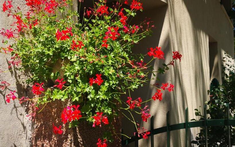 غرفة سوبيريور مطلّة علي الحديقة, La Casa Di Elena