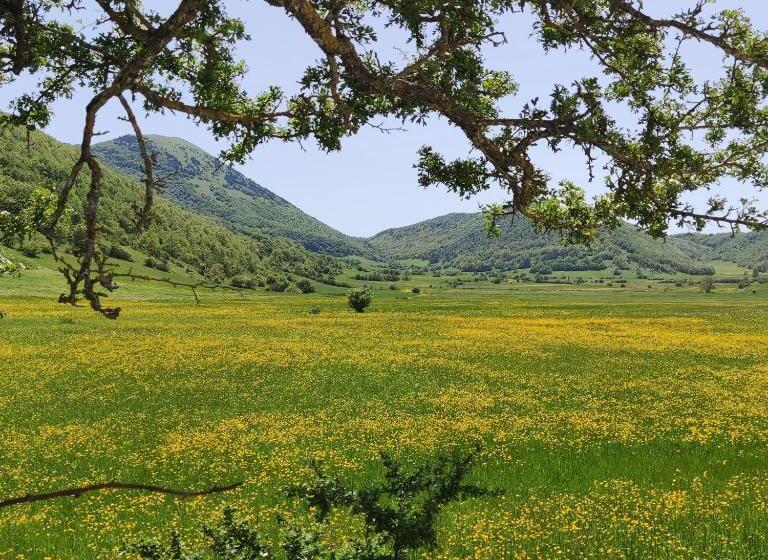 غرفة سوبيريور مطلّة علي الحديقة, La Casa Di Elena