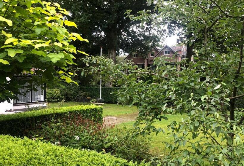 디럭스 스위트, Modern Palace Emma Staete