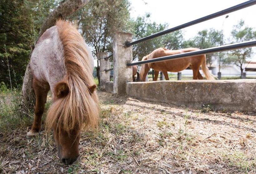 带1个卧室的带阳台的公寓, Masia Can Rovira   Esc1852