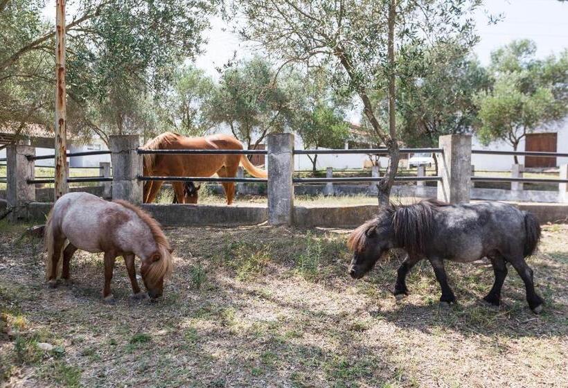 带1个卧室的带阳台的公寓, Masia Can Rovira   Esc1852