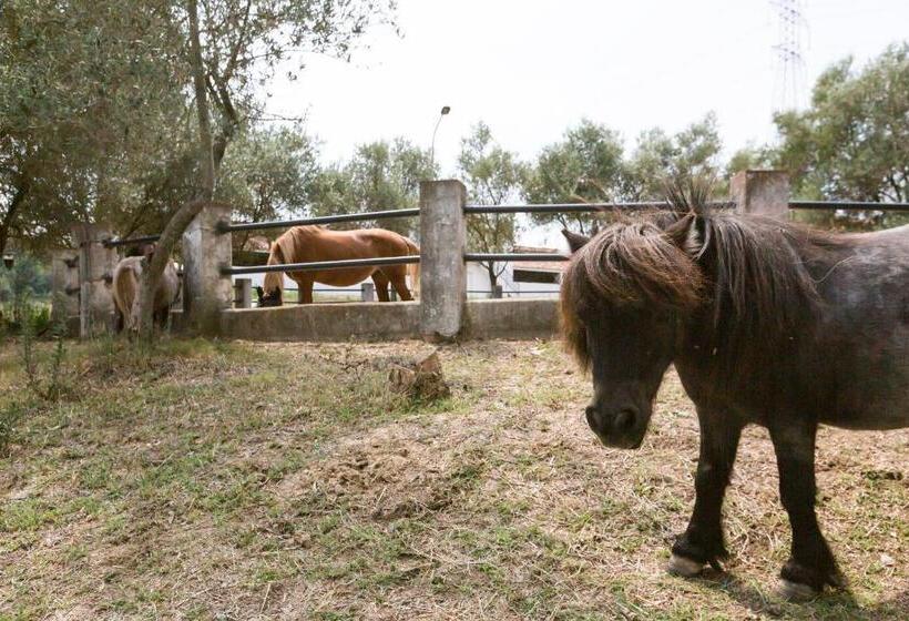 豪华工作室, Masia Can Rovira   Esc1852