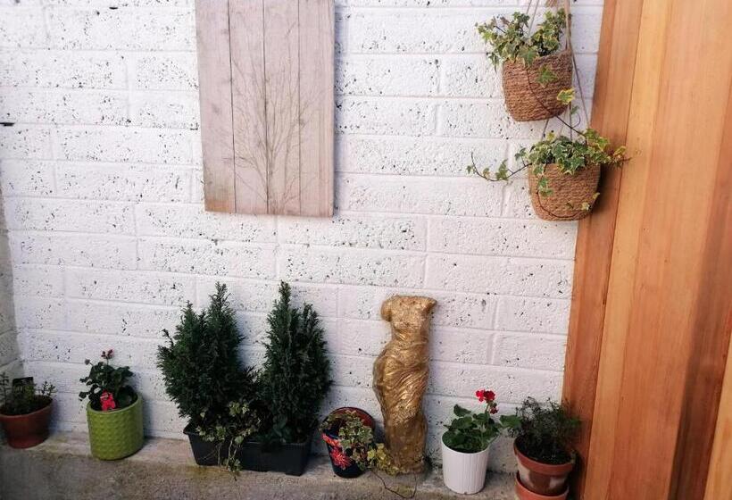 スタンダードルーム, No 12 B&b