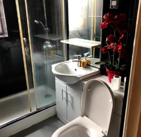 バスルーム共有のシングルスタンダード, Apartment & Rooms In London