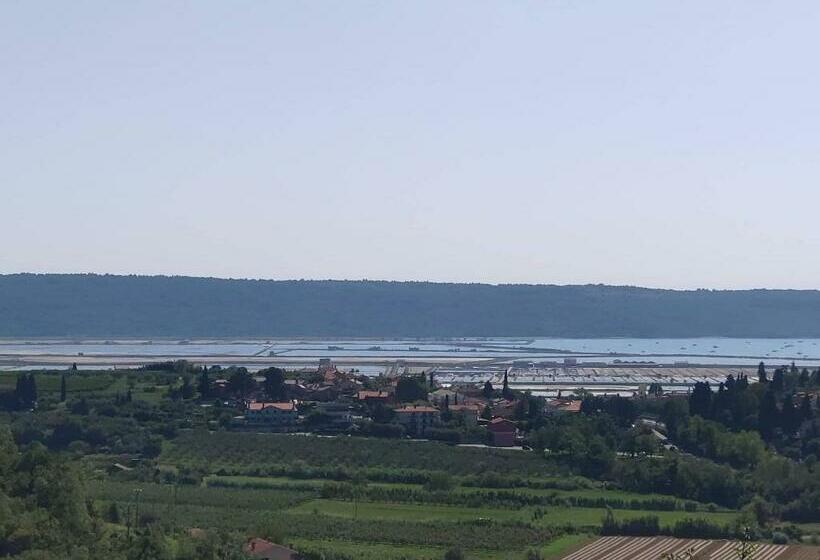 آپارتمان 1 خوابه با بالکن, Villa Medusa