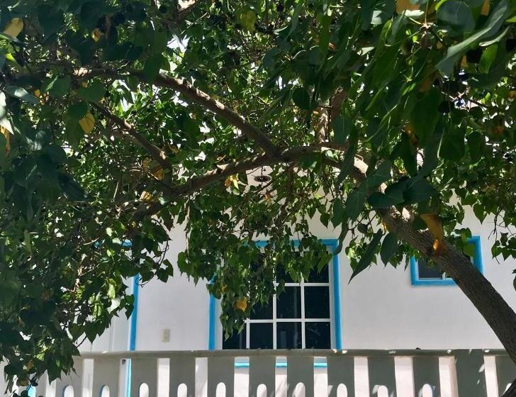 标准工作室, Estudios Rehilete