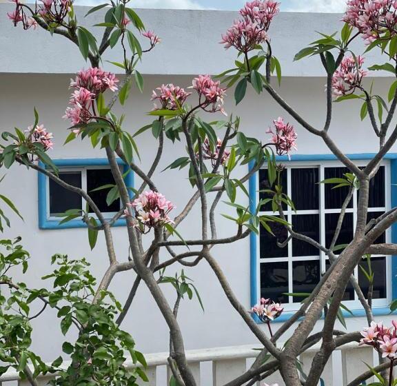 标准工作室, Estudios Rehilete