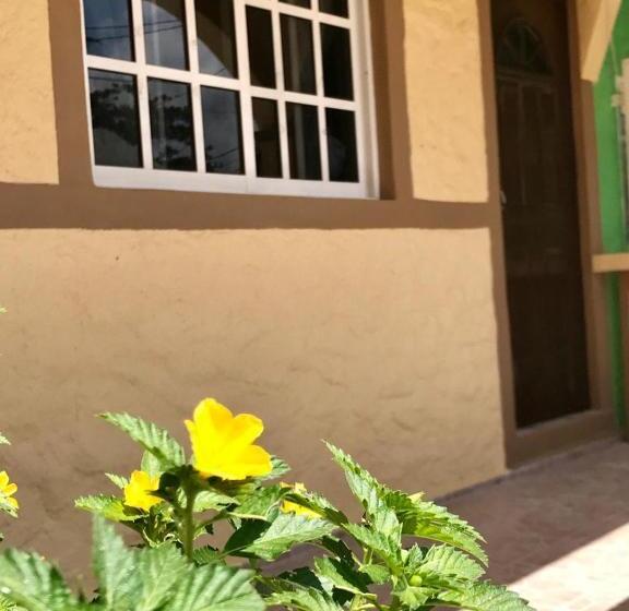 低层单卧公寓, Estudios Rehilete