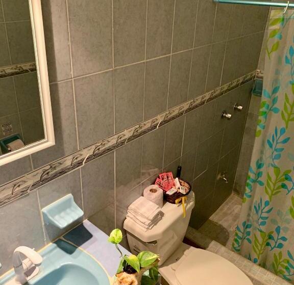 低层单卧公寓, Estudios Rehilete