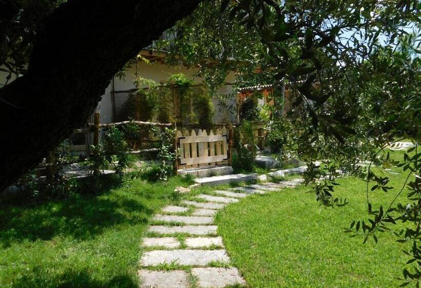 テラス付スタンダードルーム, La Casa Di Paglia