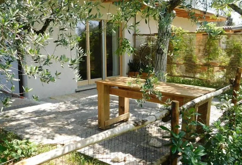 ファミリールーム, La Casa Di Paglia