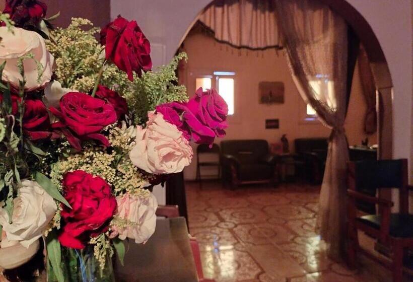 침실 1개 아파트, Safari Abu Simbel