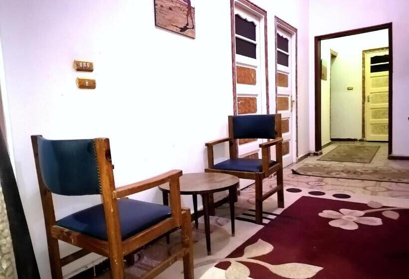 이코노미 룸, Safari Abu Simbel