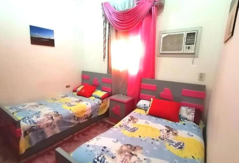 이코노미 룸, Safari Abu Simbel