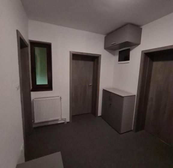 Standard room with outdoor bath, Pensiunea Vlad