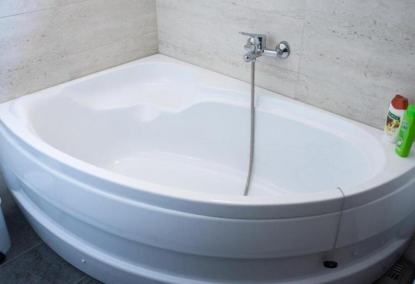 Standard room with outdoor bath, Pensiunea Vlad