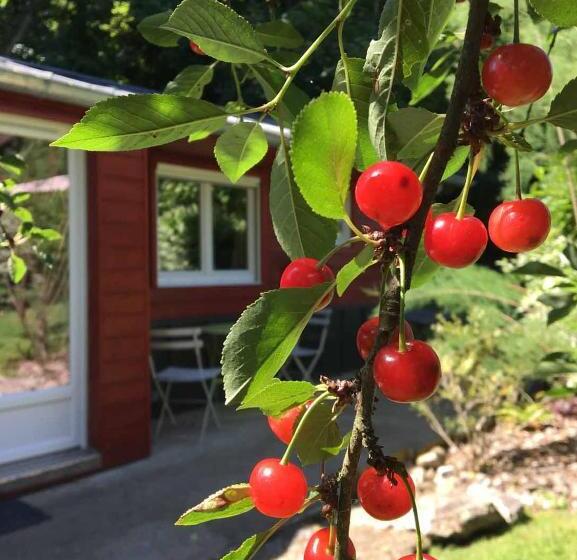 اتاق استاندارد, Le Cabanon De Chessy
