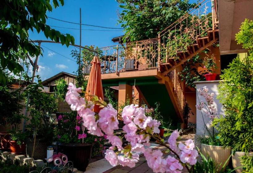 デラックスルーム, Casa De Sub Magura