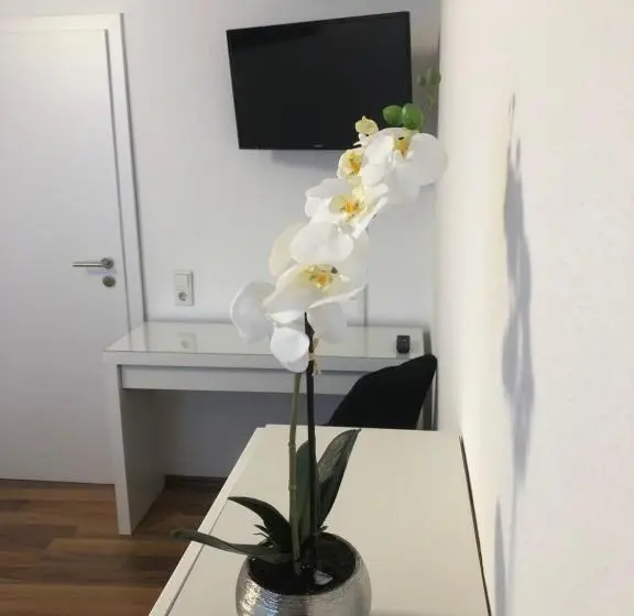 エコノミールーム, City Rooms