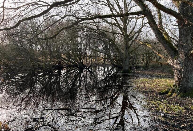 חדר סטנדרט חדר אמבטיה משותף, Bed&breakfast Jonker