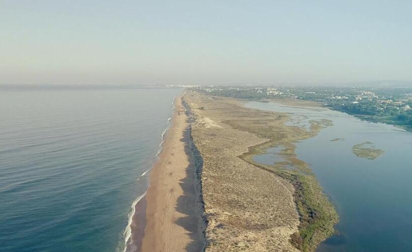 اتاق استاندارد با سرویس بهداشتی مشترک, Pine House   Faro Airport, Beach And City Center