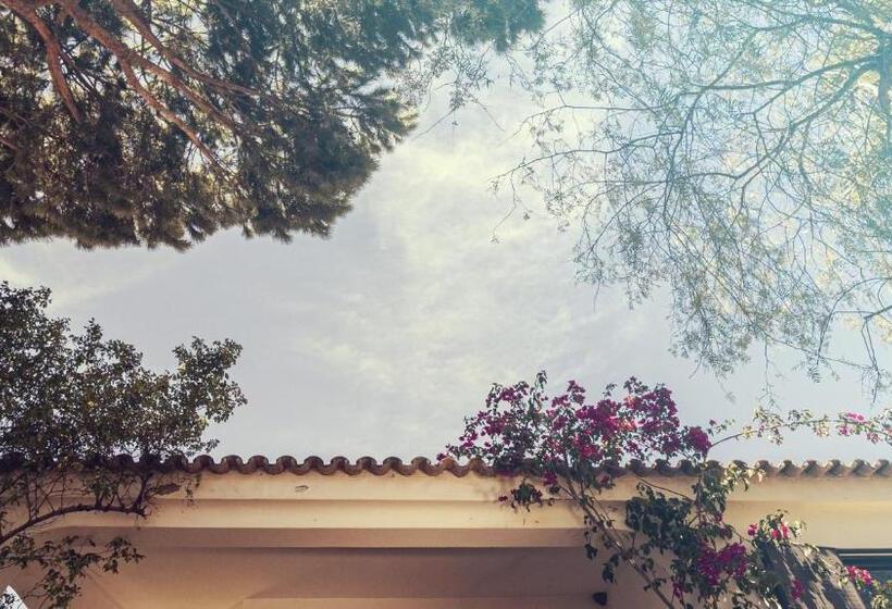 اتاق استاندارد با سرویس بهداشتی مشترک, Pine House   Faro Airport, Beach And City Center