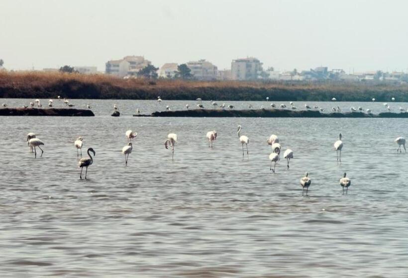 اتاق استاندارد, Pine House   Faro Airport, Beach And City Center