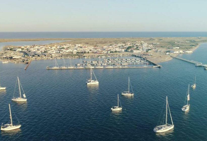 اتاق استاندارد با سرویس بهداشتی مشترک, Pine House   Faro Airport, Beach And City Center