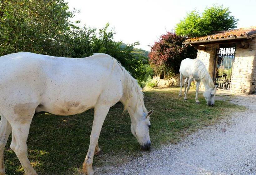 غرفة عائلية, Agriturismo La Tana